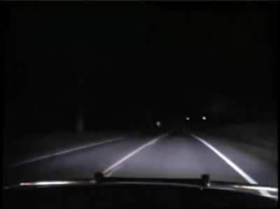 Deer are the fucking worst