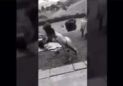 cursed_video my friend sent me