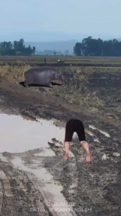 Oh no