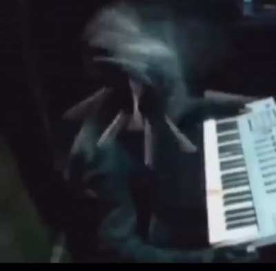 Farded