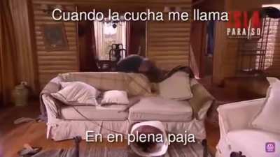 S&uacute;per yo 👉👈😳