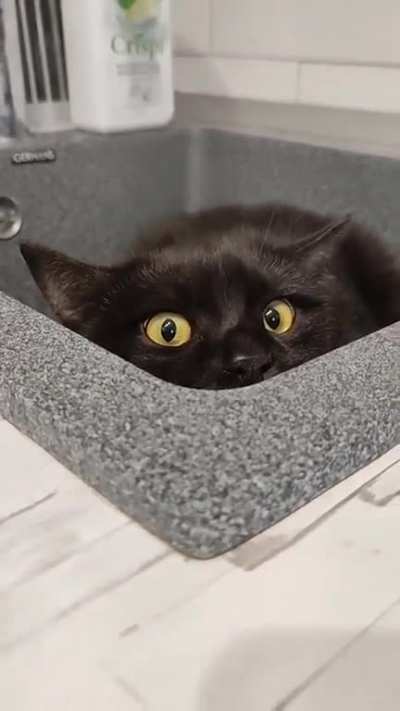 Hide and Seek