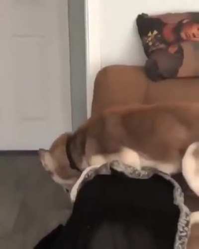 Where is Human?