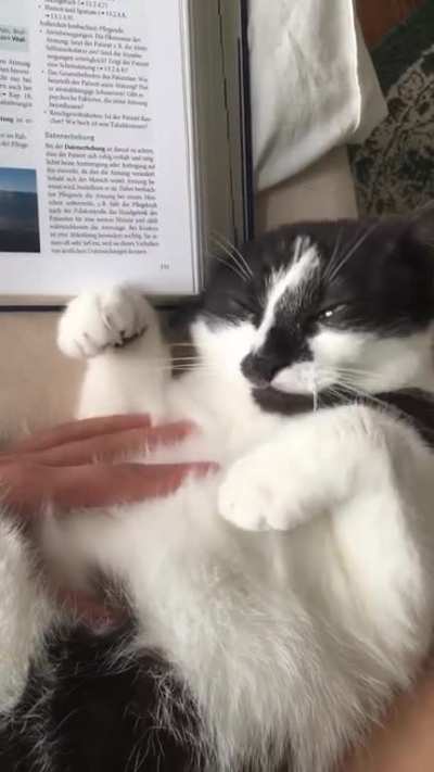 Reaching for the stars