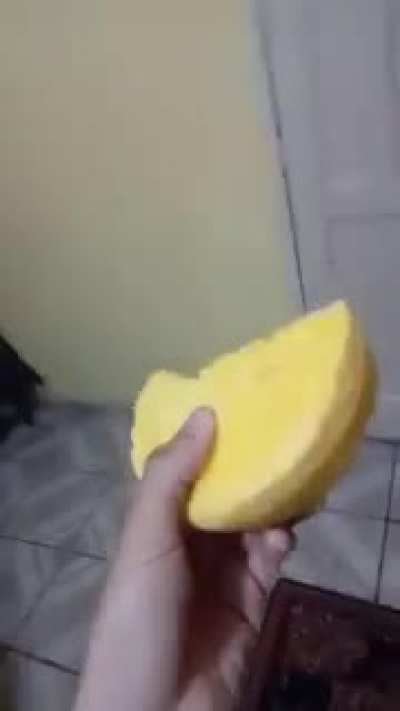 (Sem titulo)