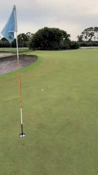 Golf Swing