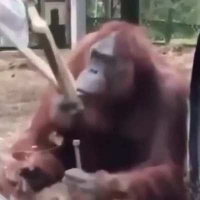 ???????