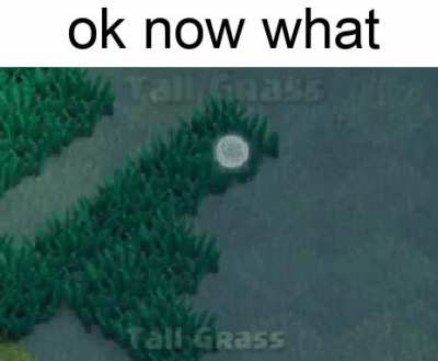 ok now what