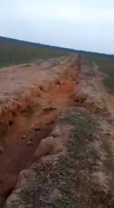 🔥 The armadillo society 😄