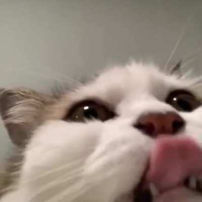;(