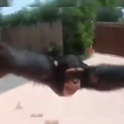 👉👈
