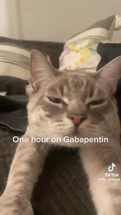 Gabapentin is a helluva drug