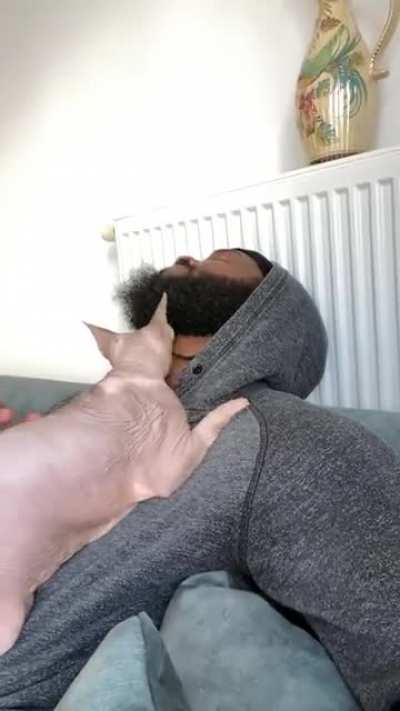He always jumps on me to do this. Think he likes my beard 🧔🏾‍♂️
