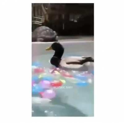 Marine attack