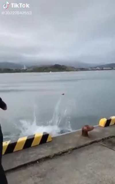 Fishing as a hobby can have a modified approach!