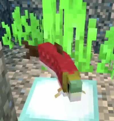spin s ipn