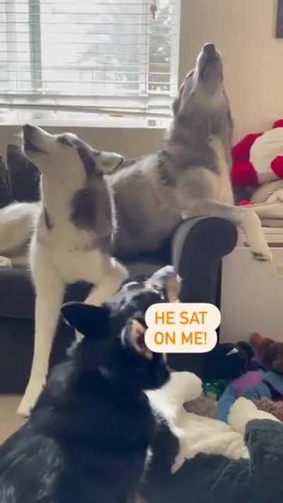 Help! He's farting on me! 😂