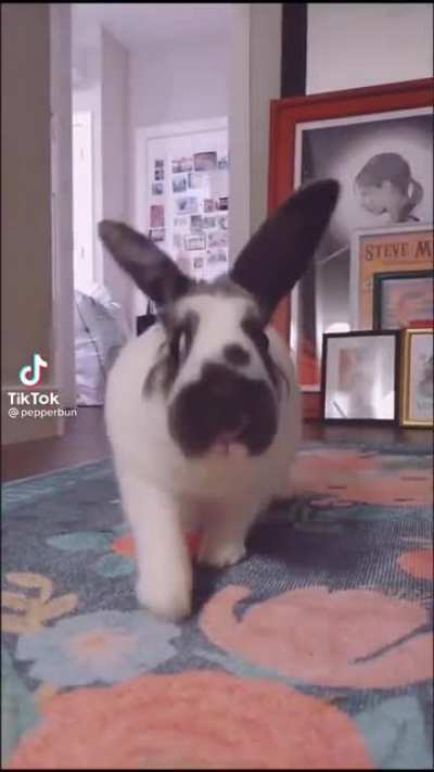 Garbage Bun