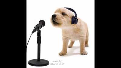 dog rapping 😨 he's kinda good tho 😏