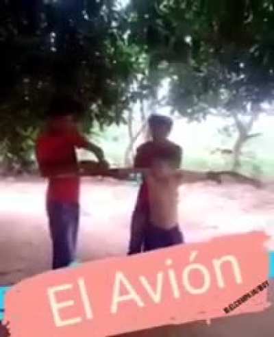el avi&oacute;n el avi&oacute;n