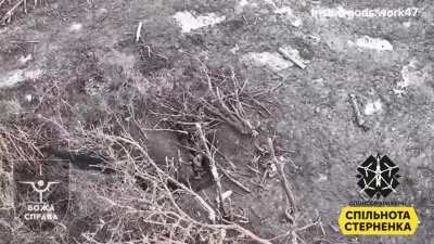 [NSFL] A drone from the "God's Work" unit (47th Mechanized Brigade) drops a very spicy package into a Russian trench, obliterating 2 soldiers