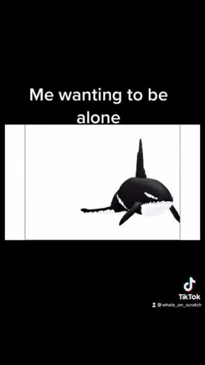 I did not know Whale On Scatch was still a thing till this came up on for you