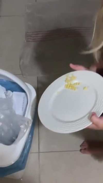 Plato roto.