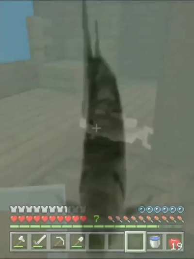 🐟