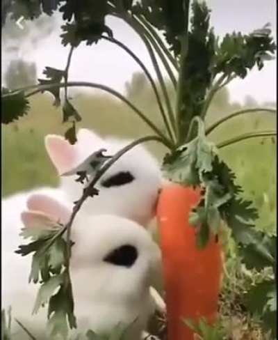 🥰