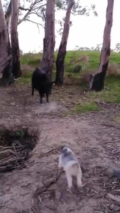 Sometimes size really doesn&rsquo;t matter