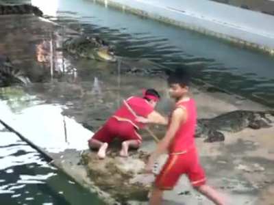 Man plays with croc