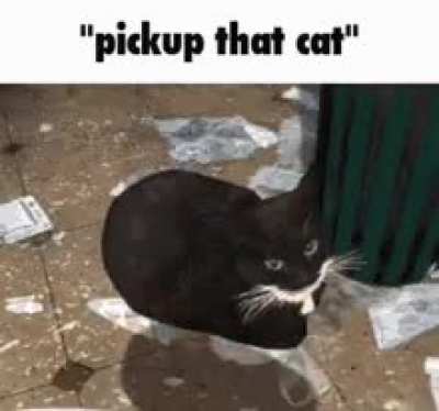Pickup that ban 