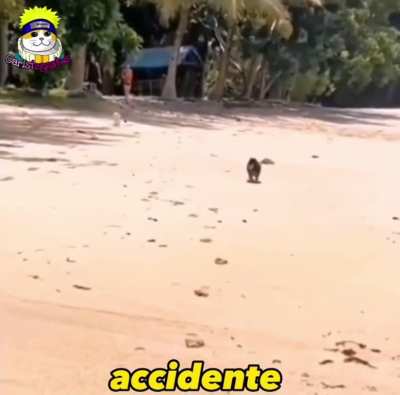 Tragedia.