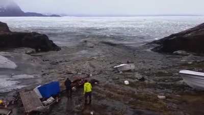 It's the perfect example of tsunami.