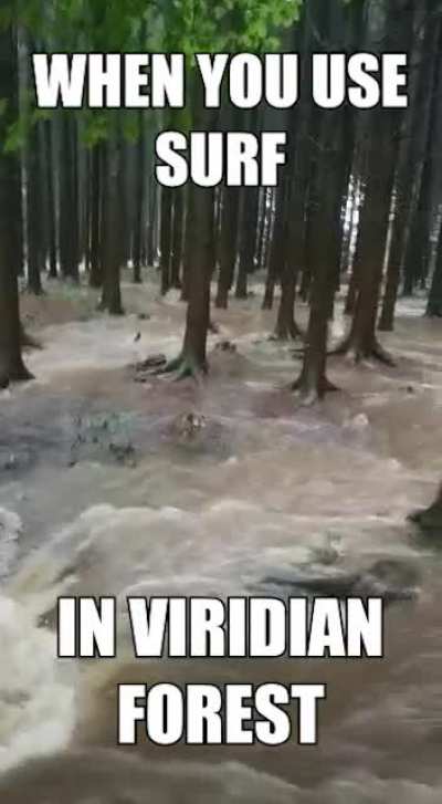 🏄