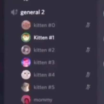 the average discord user
