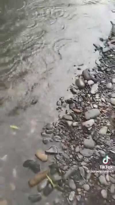 Throwing rocks in the air