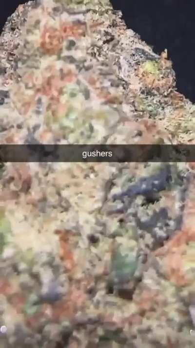 nice nugs