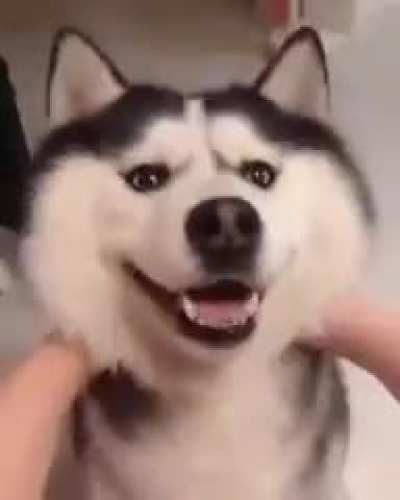 Vamos fazer uma homenagem ao savevideo dando o m&aacute;ximo de upvotes no coment&aacute;rio dele que est&aacute; logo abaixo (n precisa da upvote no meu post)
