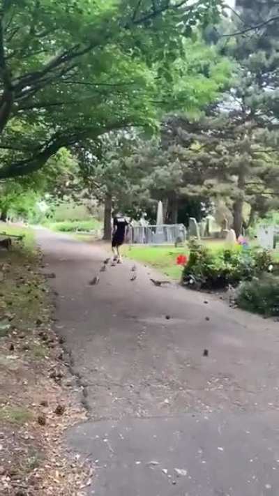 You fucked with squirrels morty!