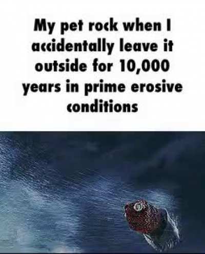 Oh no rock!!