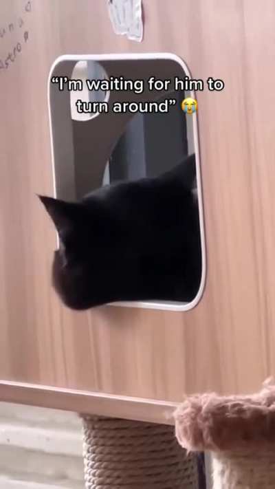 Owning a black cat and he&rsquo;ll bring you surprises 🥰