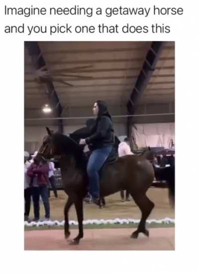 A horse not for racing!