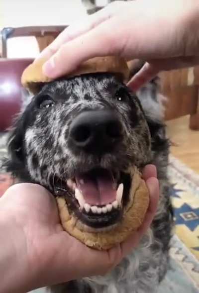 Forbidden sandwich
