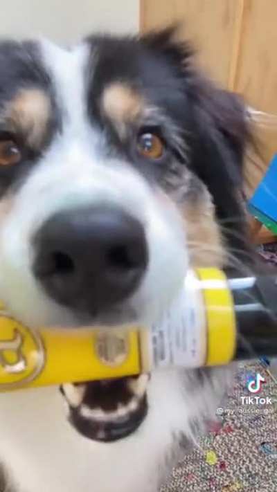 another good boi