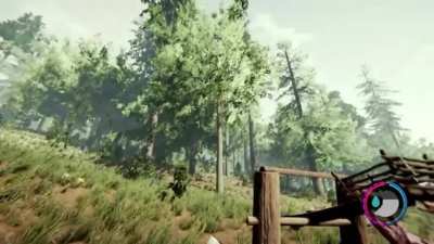 Can you catapult Dynamite in The Forest?