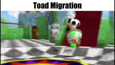 I had a dream that I was stuck in a death game. In the dream, I frantically searched Youtube on how to survive a death game, and the only result was a video title "Toad Migration". It somehow made me aware of exactly what I needed to do to survive.