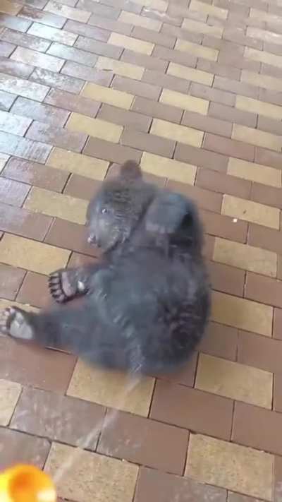 Wet Bebe