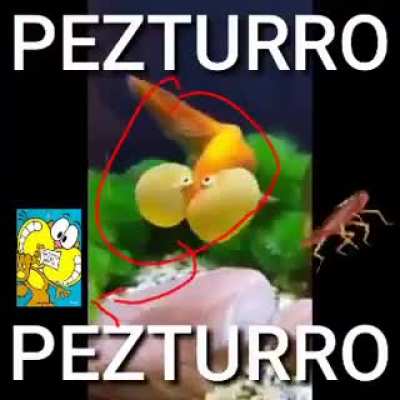 bruh