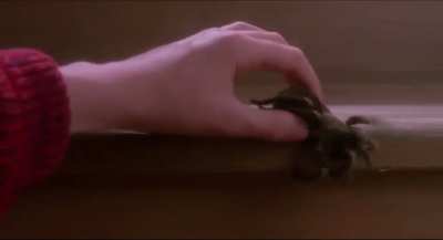 a nice home alone scream for a nice Christmas 👍